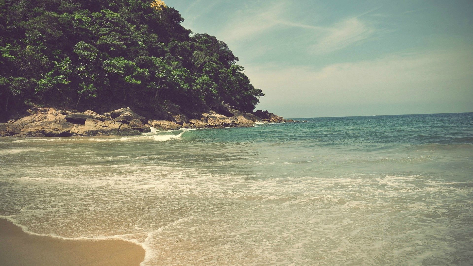 a beach with trees on the side