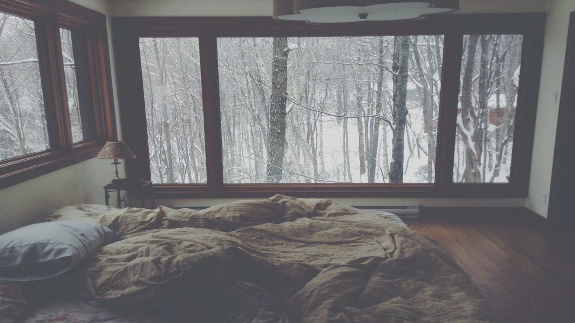 a bed with a view of trees outside