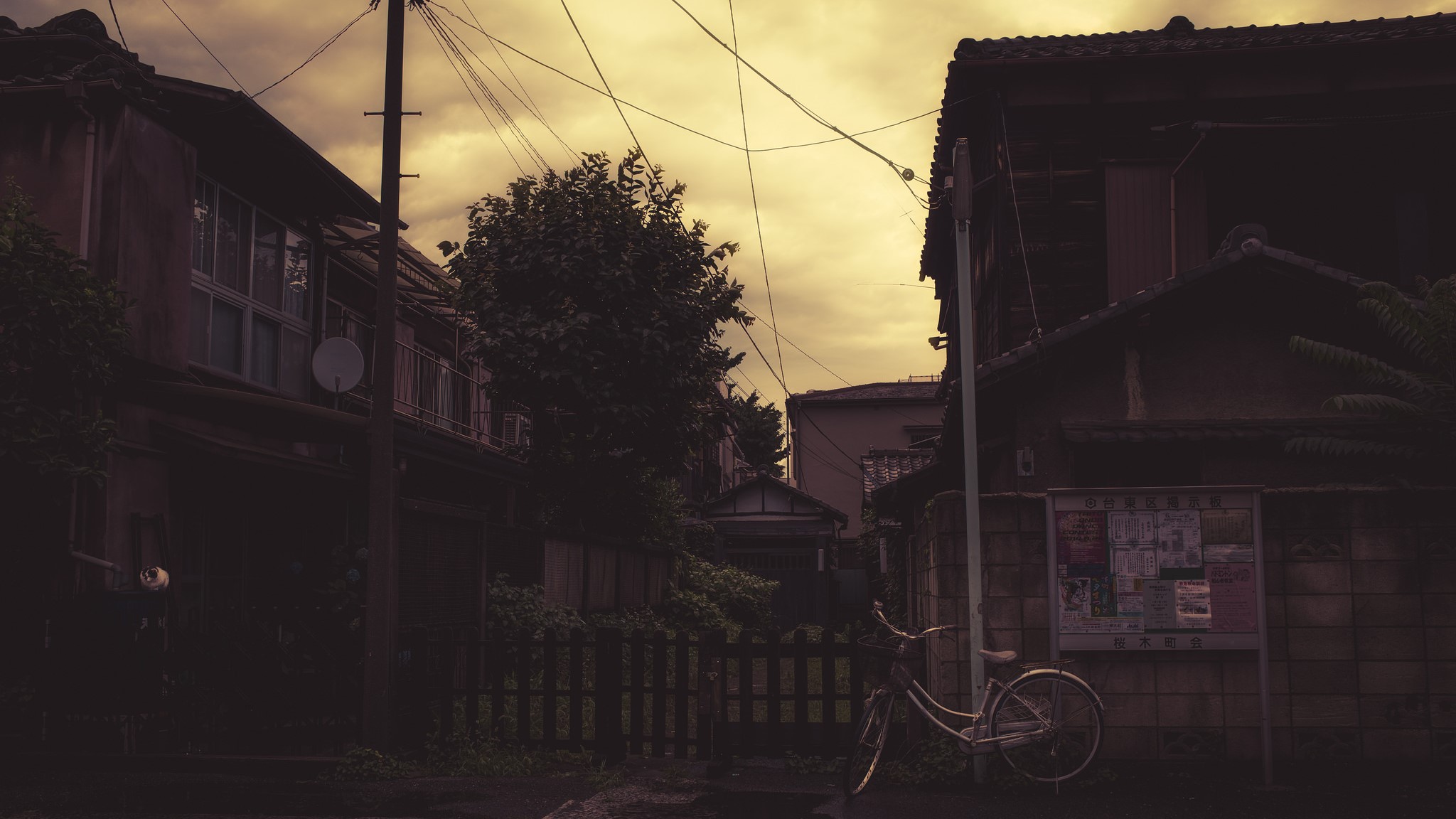 a bicycle parked on a street