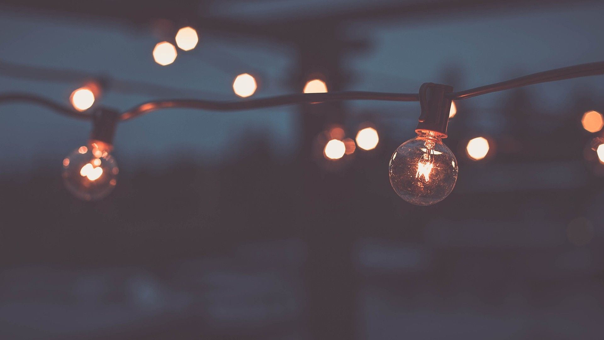 bulbs