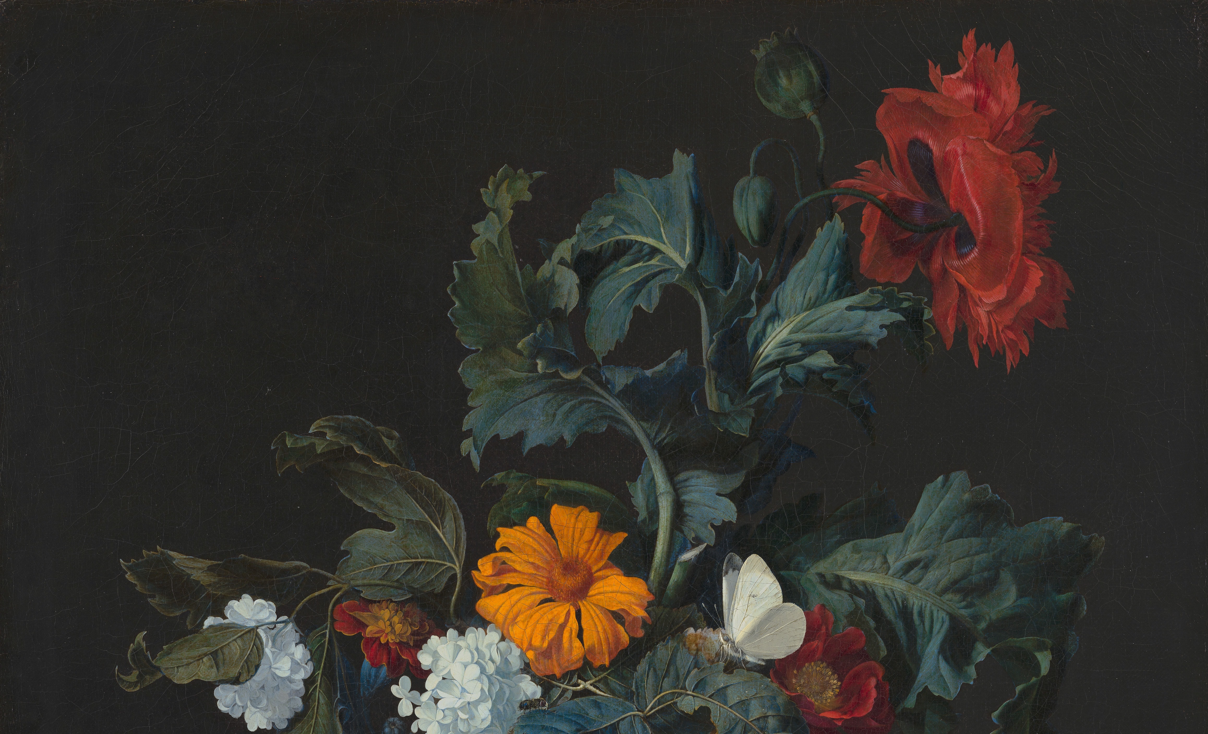 gryvbox flowers