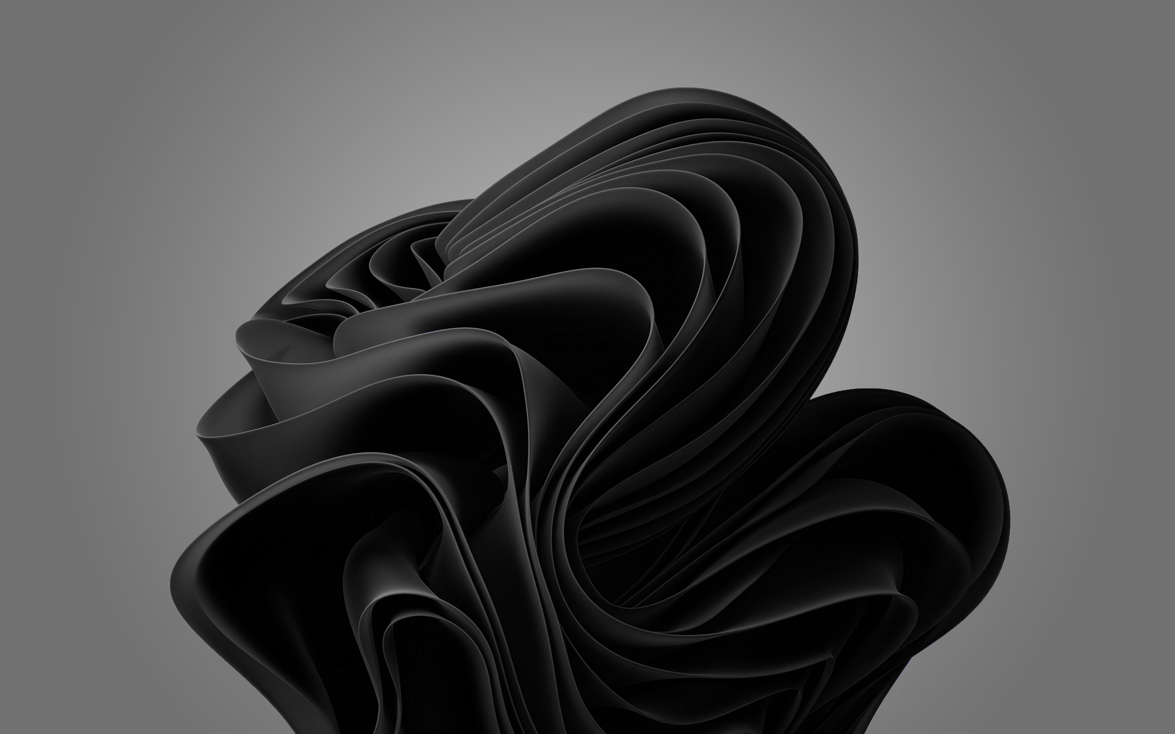 windows black