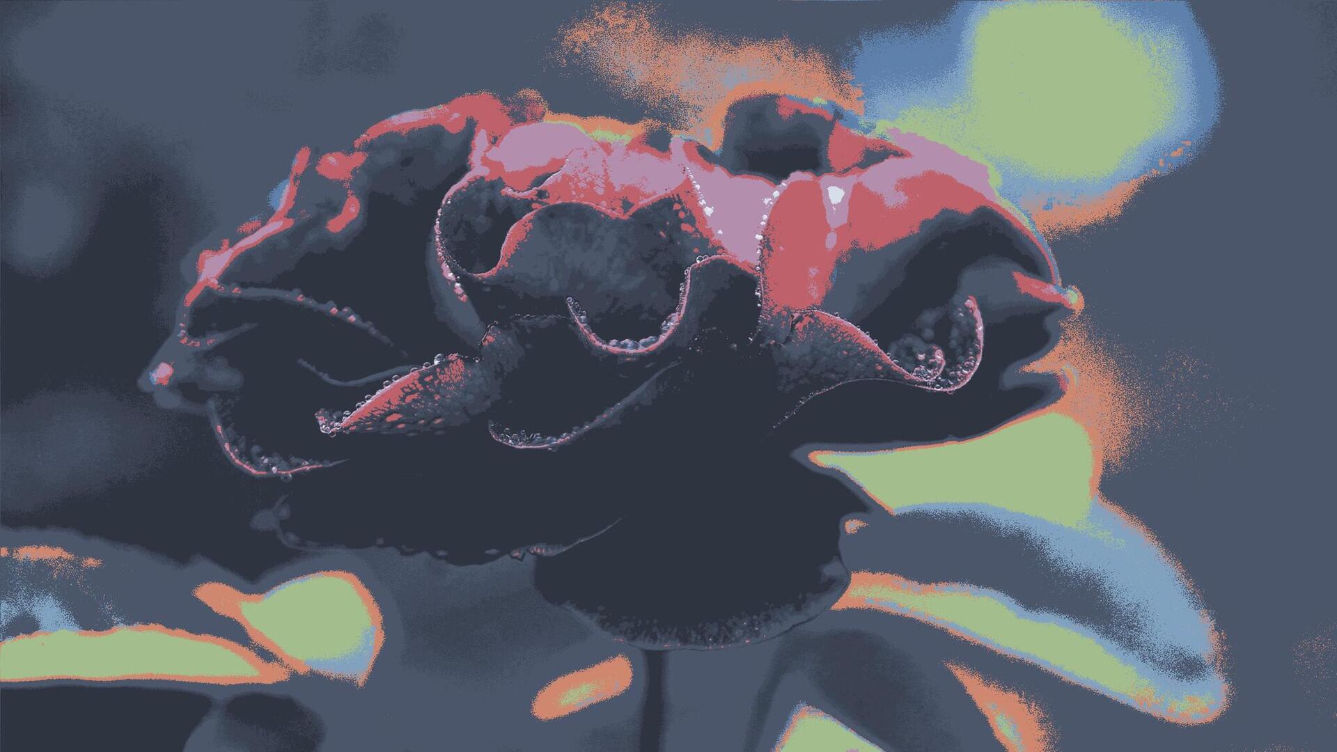 a close up of a flower