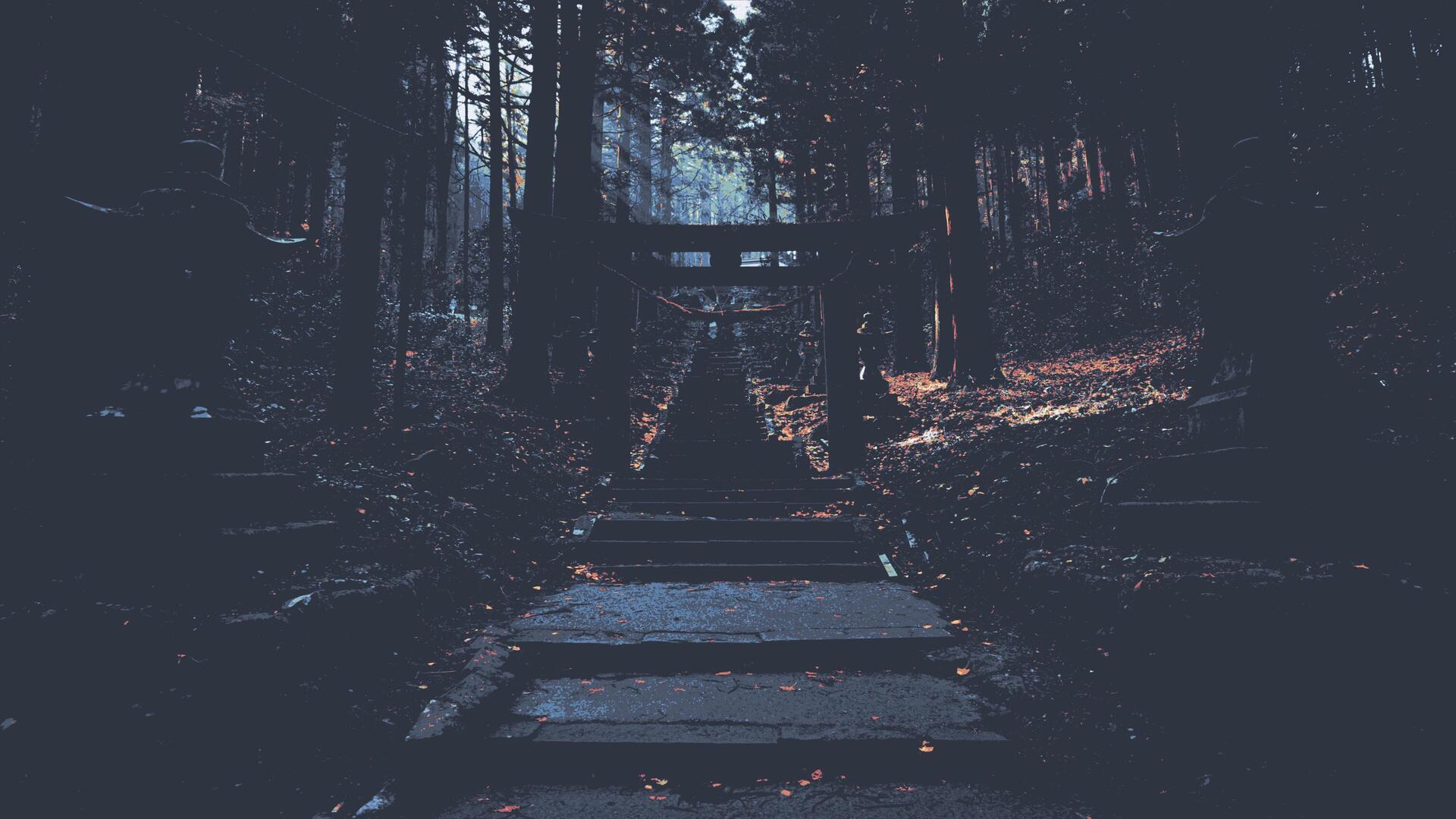 a stone steps leading up to a forest