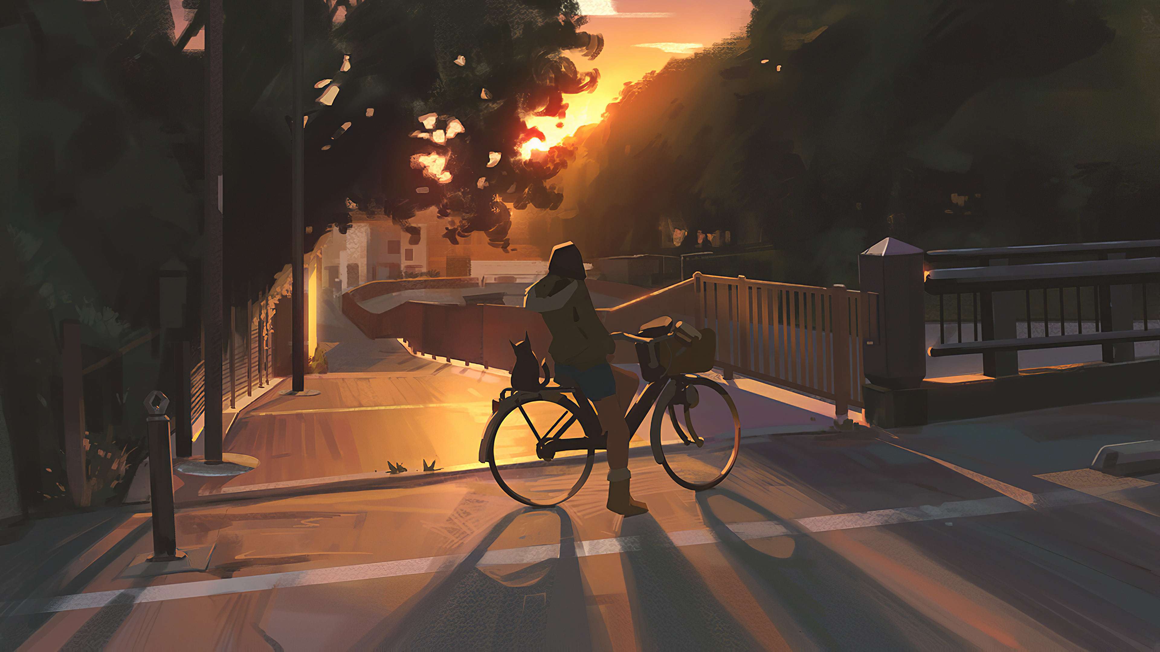 bici