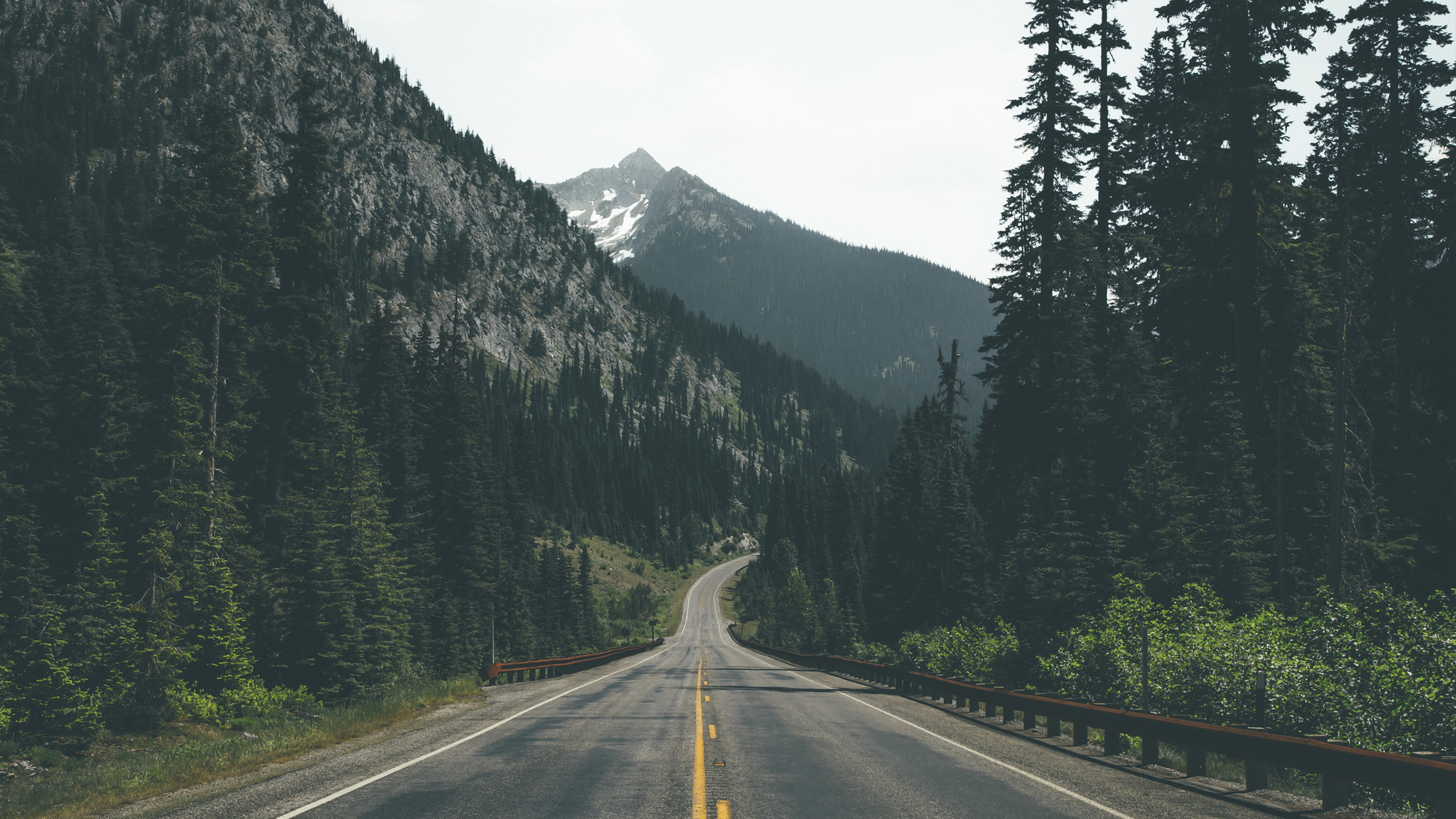 dark road
