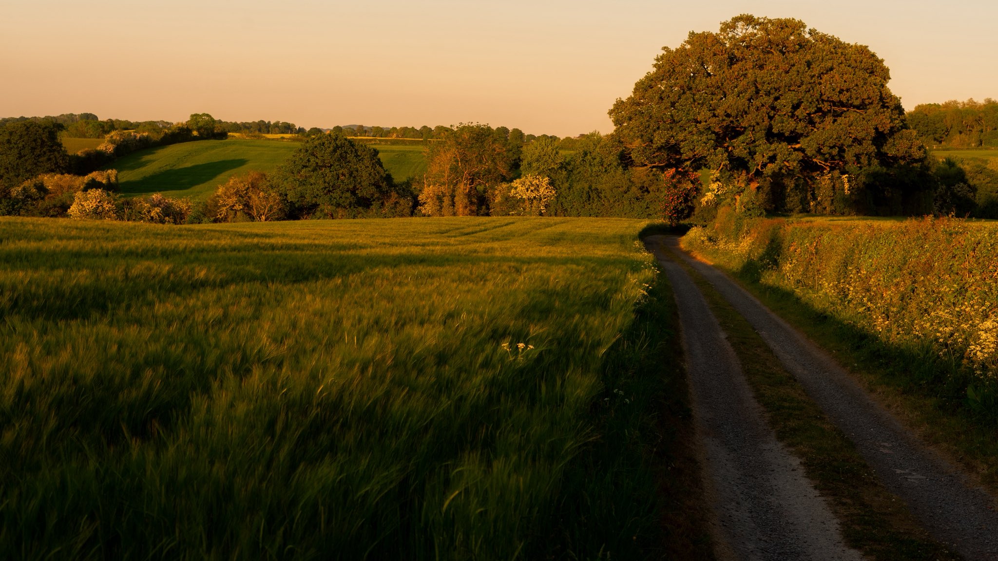 green road