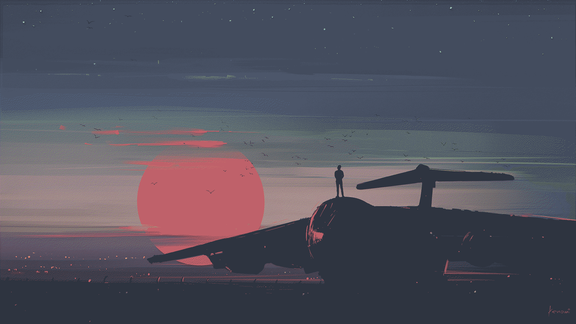 plane sunset