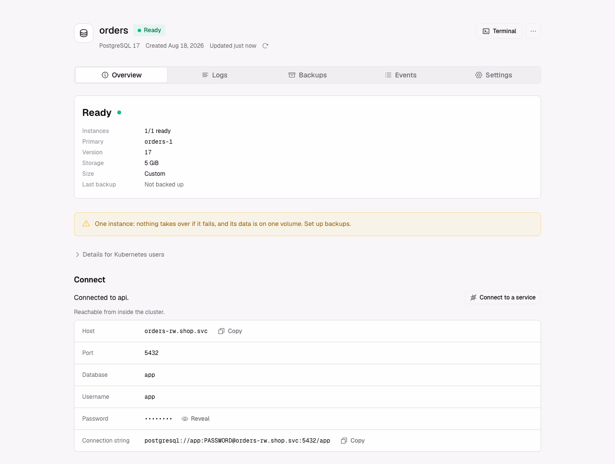 A PostgreSQL database: its state, a warning about one instance with no backups, and how to connect